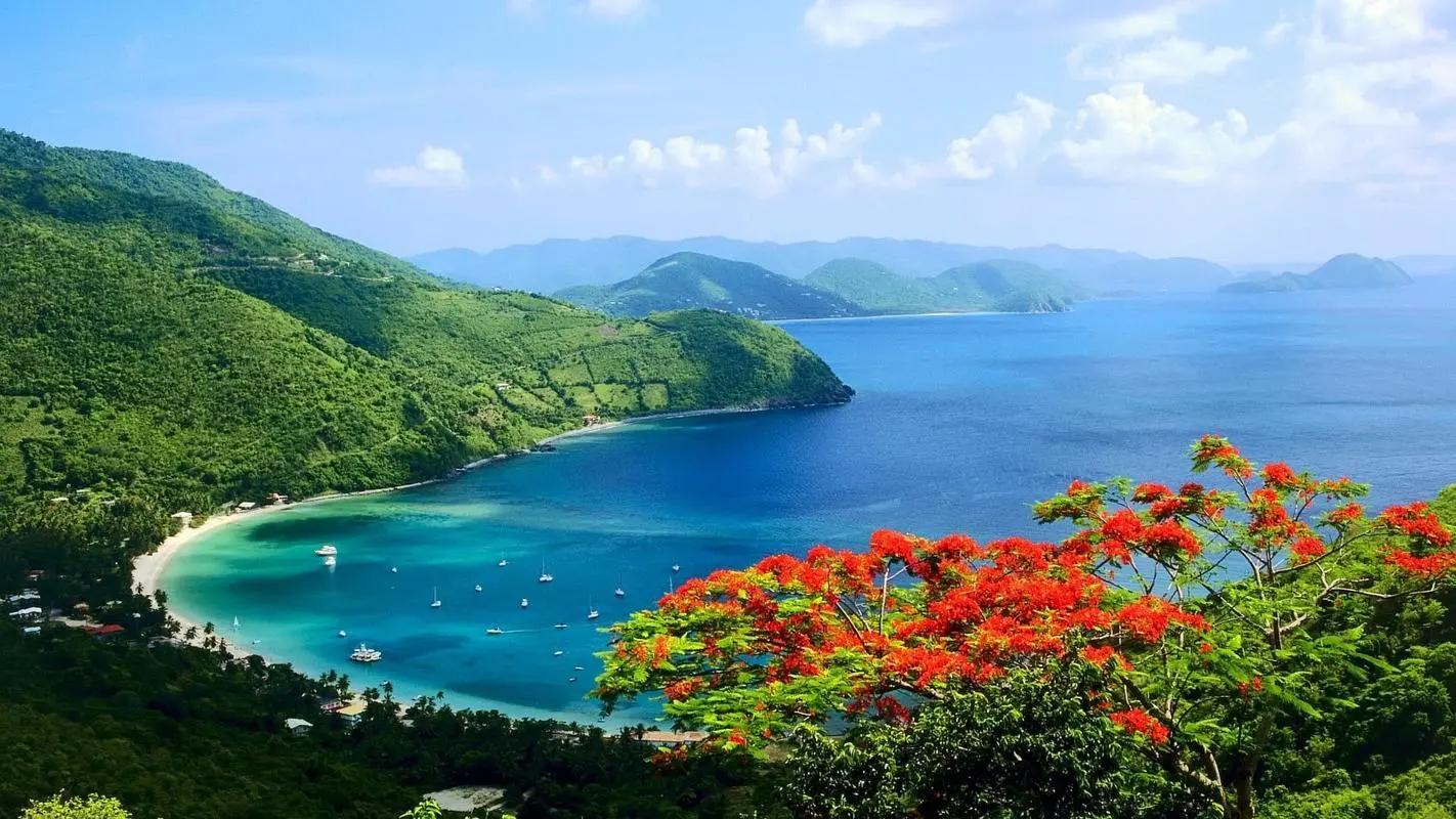 高质量信息化独特